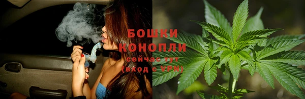 a pvp Белокуриха