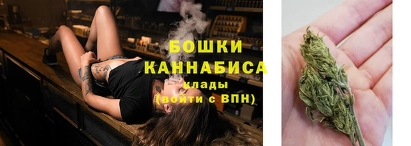 гашик Богданович