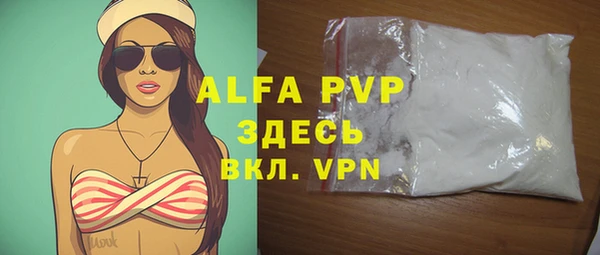 гашик Богданович