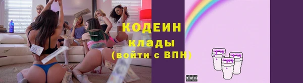 гашик Богданович