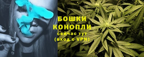 MDMA Богородицк